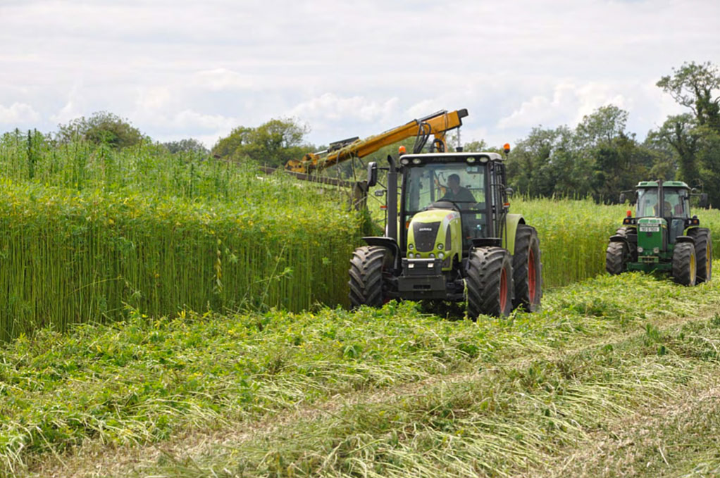 Harvesting Stems Logic